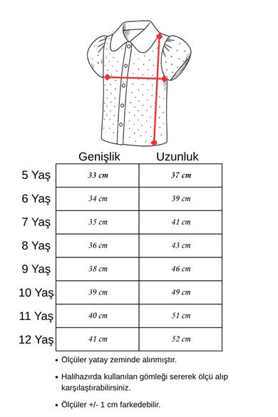 Kız Çocuk Gömlek Krep Kumaş Taşlı İşlemeli Kabarık Mini Kol 9-12 Yaş