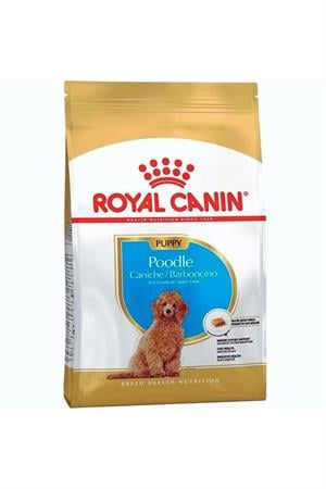Royal Canin Poodle Puppy Köpek Maması 3 Kg