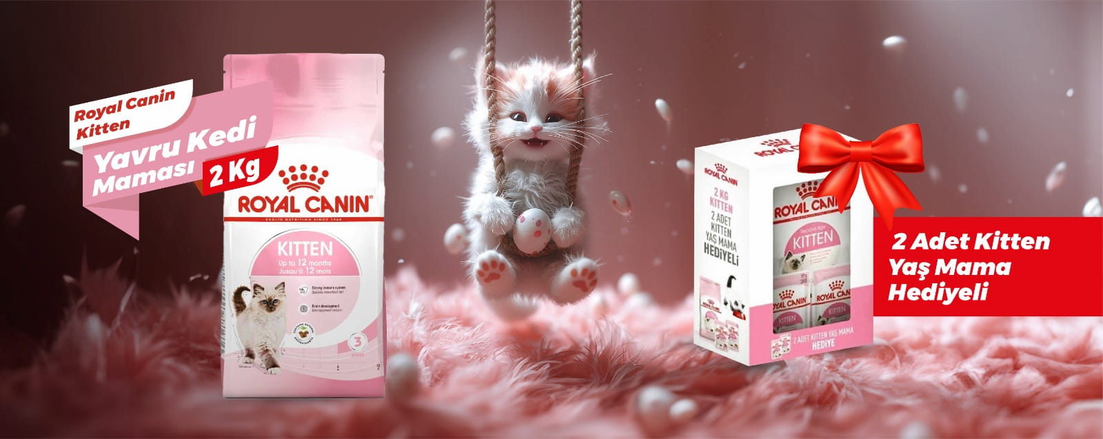 Royal Canin Kitten Kampanyası