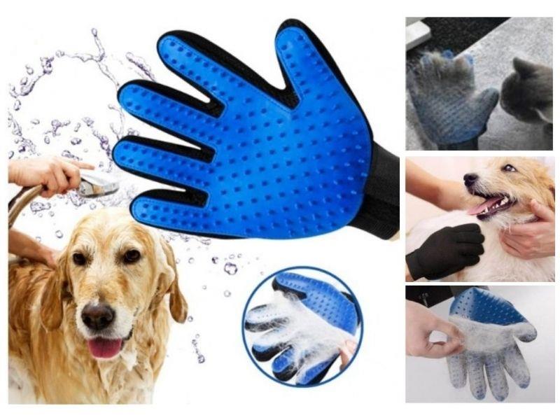 Evcil Hayvan Tüy Toplama Eldiveni Mavi