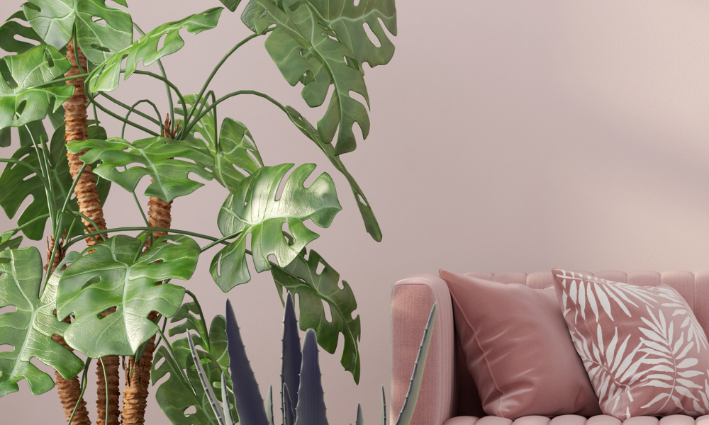 pembe koltuk takımı, pembe koltuk takimi, pembe koltuk modelleri, pembe koltuklar, pembe koltuk, pembe salon dekorasyonu