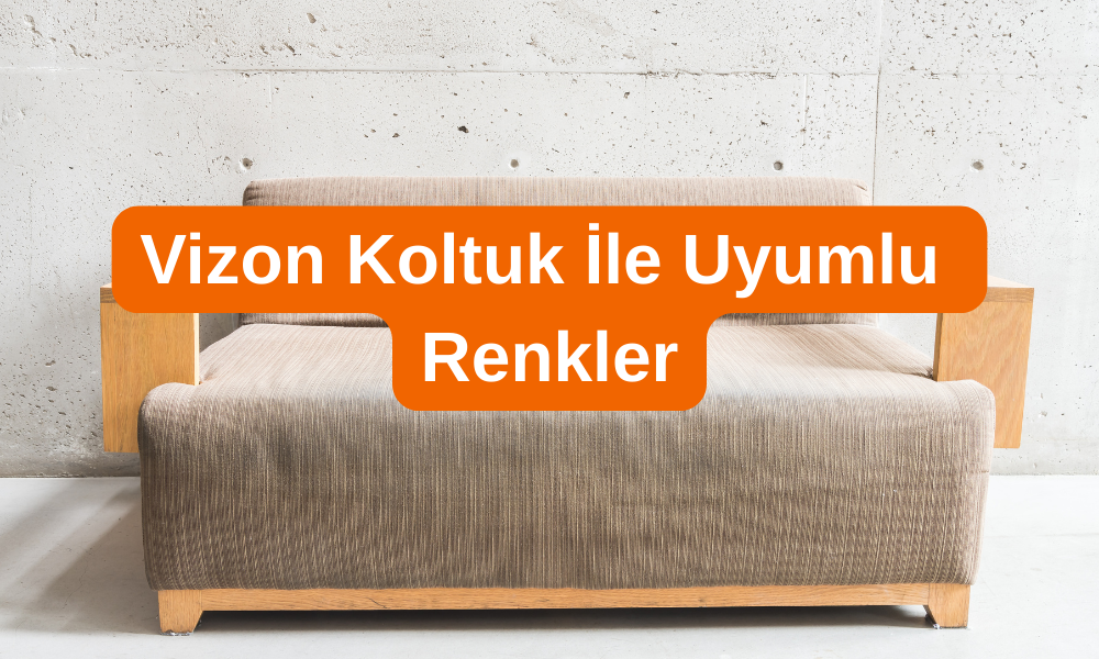 Vizon Koltuk İle Uyumlu Renkler
