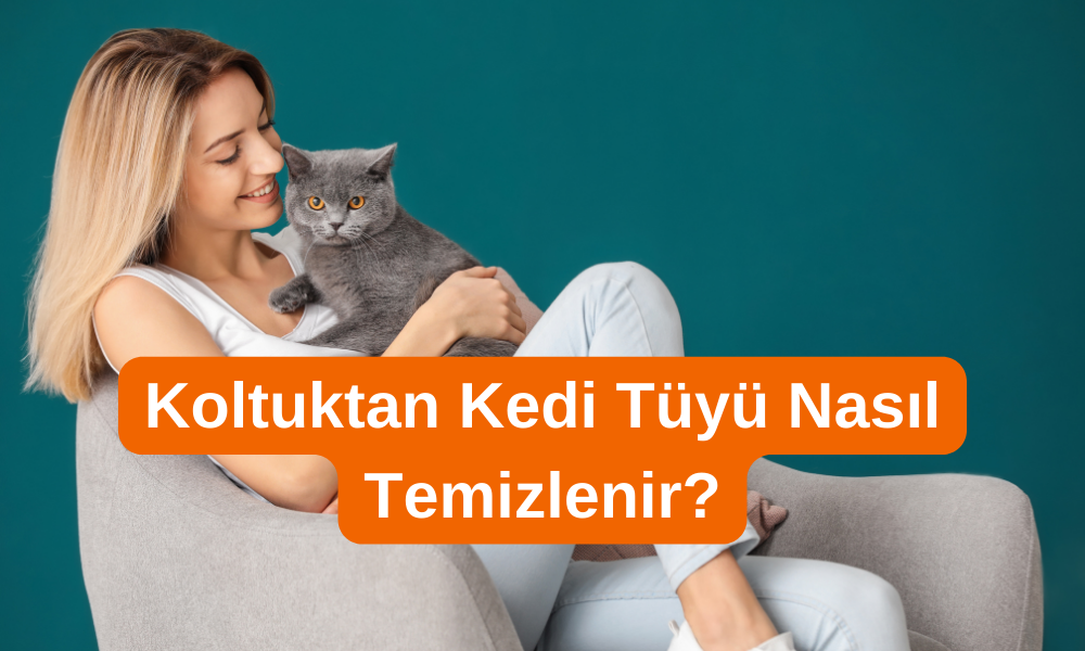 Koltuktan kedi tüyü nasıl temizlenir?