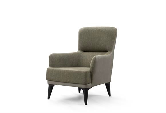 Dilan Berjer (Taşrengi-Yeşil Kumaş)