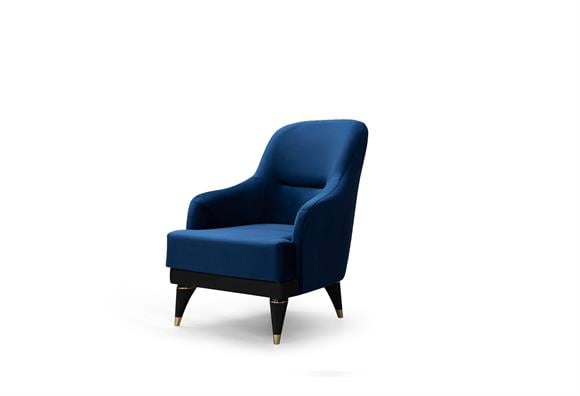 Doru Berjer Lacivert