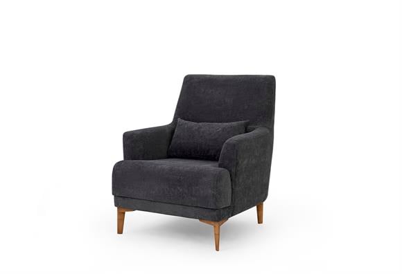 Ezel Berjer -Antrasit