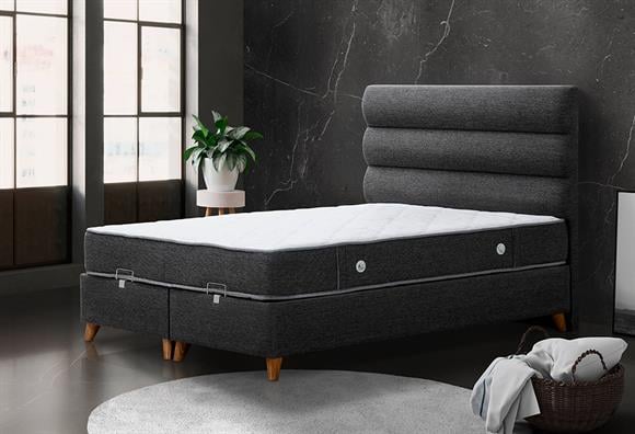 Sofia 160LIK Baza+Başlık