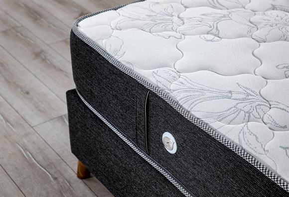 Sofia 160LIK Baza+Başlık