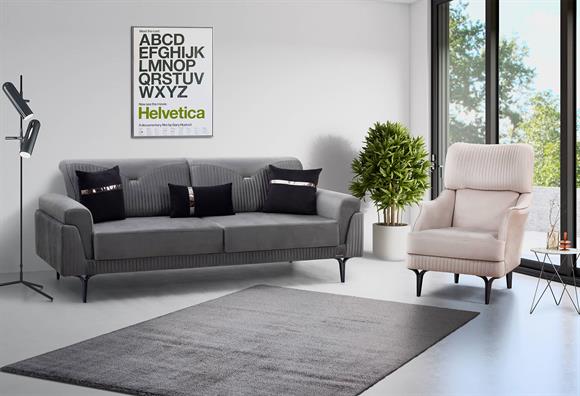 Viyola Koltuk Takımı (Antrasit)