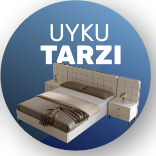 Modern Koltuk Modelleri