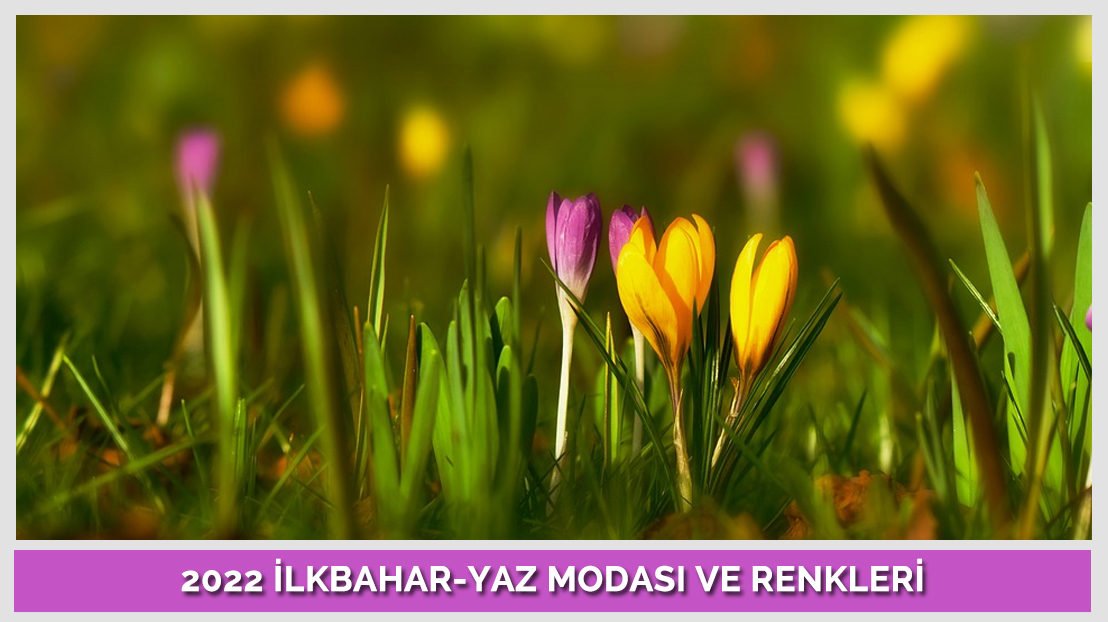 2022 Spring-Summer Fashion and Colors