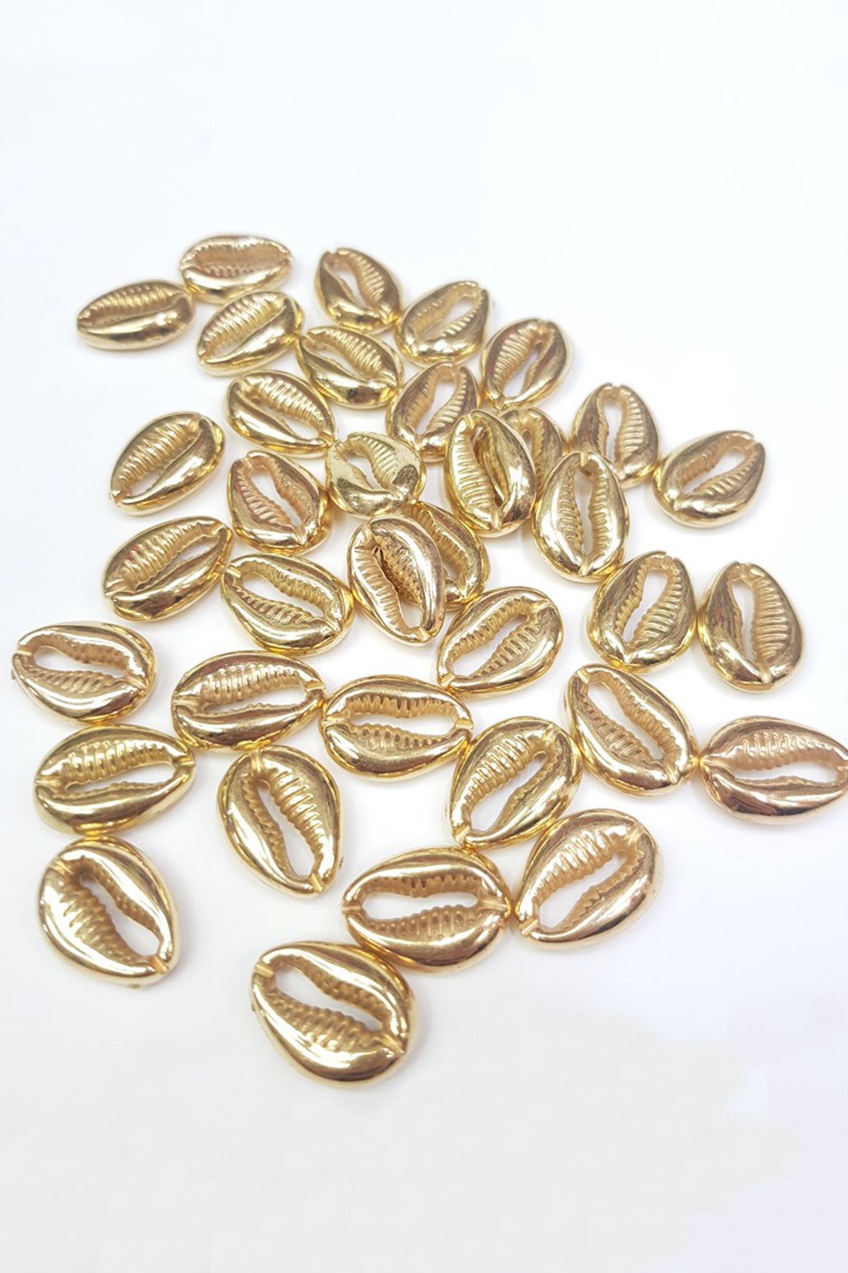 Gold Tazı Boncuğu Deniz Kabuğu