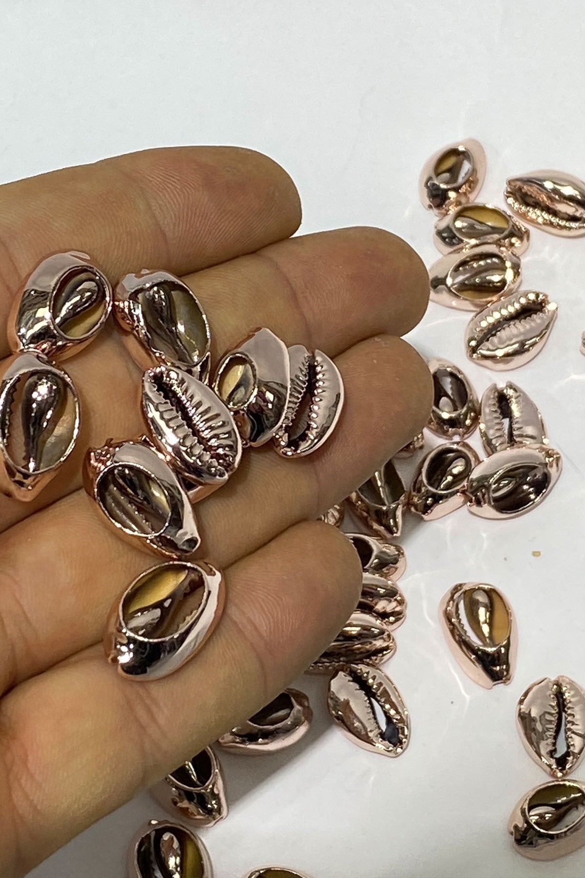 Tazı Boncuk Deniz Kabuğu 40 gr