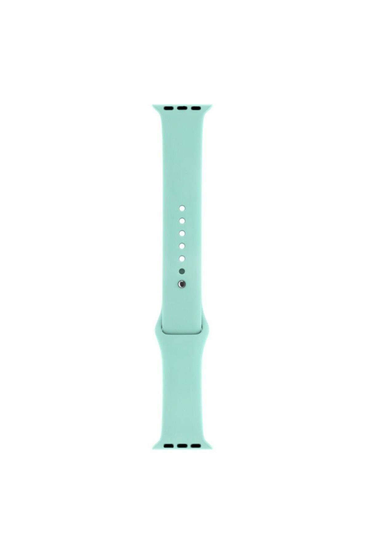 Apple Watch Series 1 2 3 Için 42 Mm Small Beden(s/m Sıze) Silikon Kordon Royal Blue