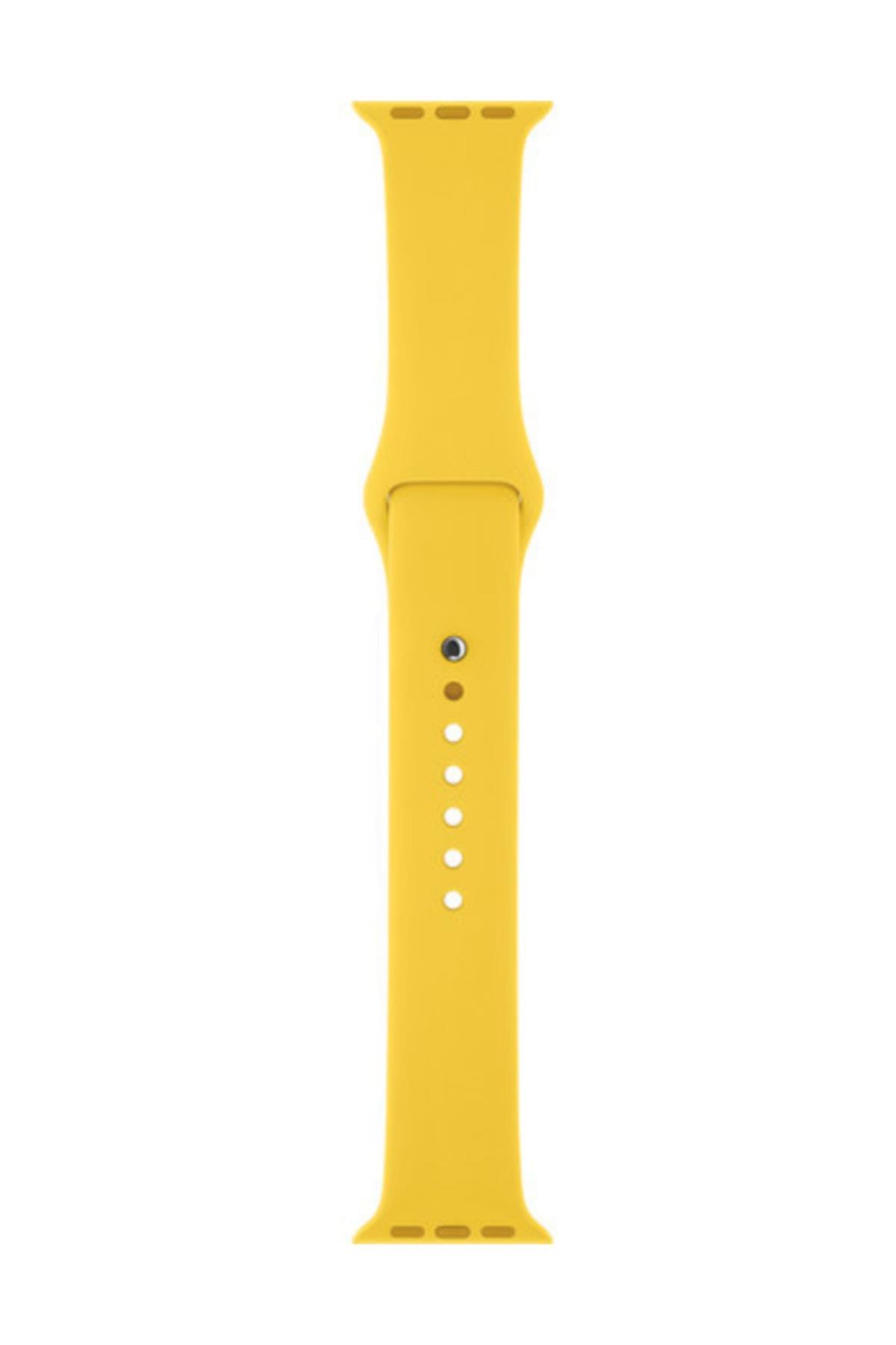 Apple Watch Seri 1 2 3 42 Mm Uyumlu  Delikli Silikon Kordon