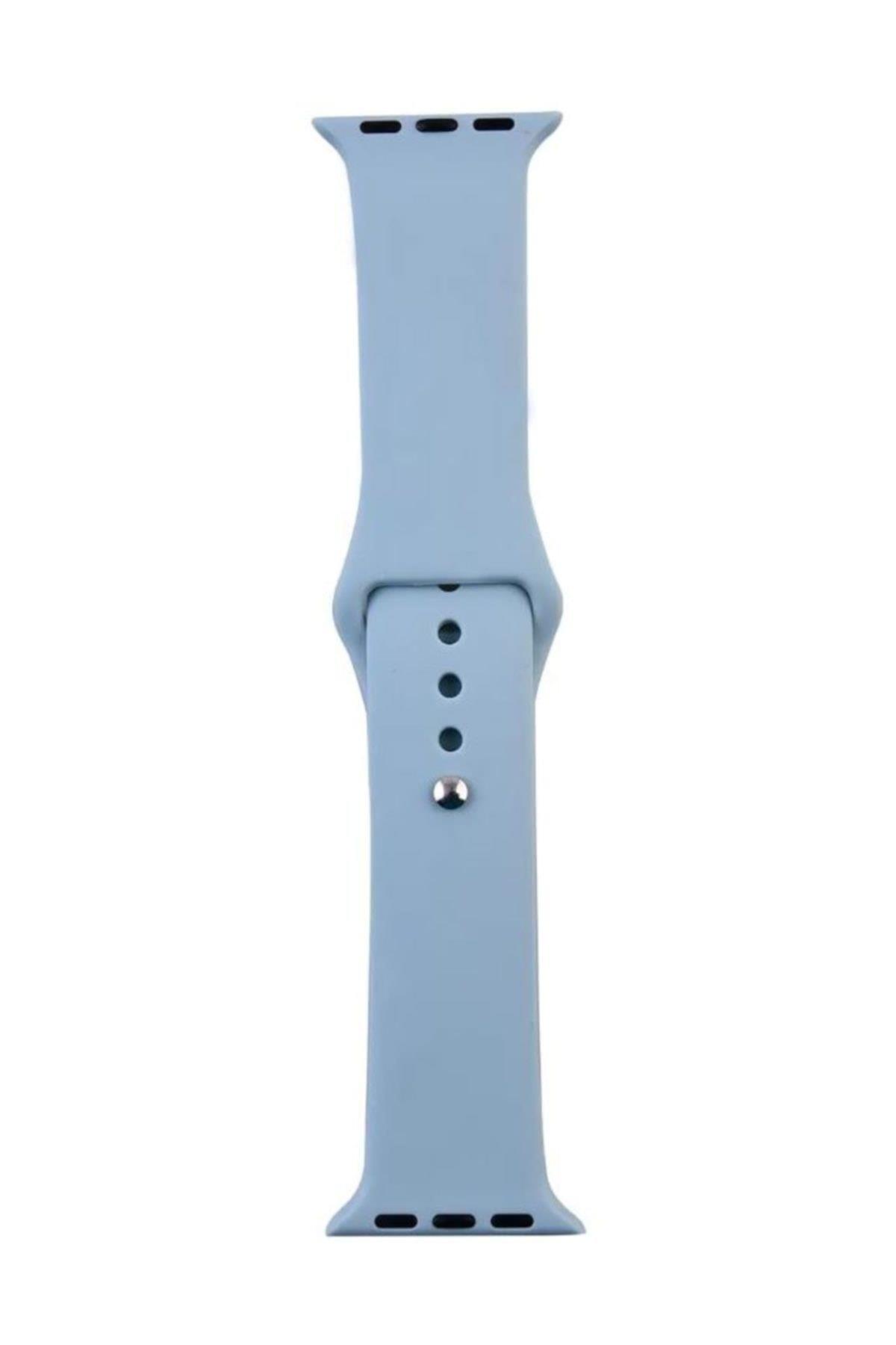 Apple Watch Series 4 5 Uyumlu 44 Mm Large Beden(m/l Sıze) Silikon Kordon Mor