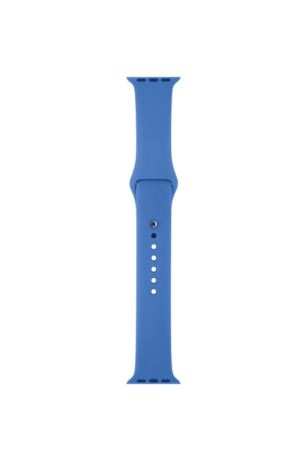 Apple Watch Series 4 5 Uyumlu Gri 44 mm Large Beden(m/l Sıze) Silikon Kordon