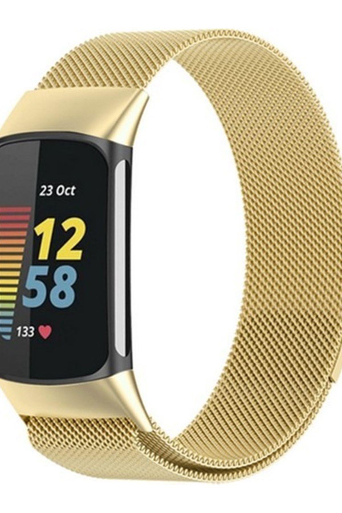 Fitbit Charge 6 Uyumlu Için Manyetik Metal Saat Kordonu