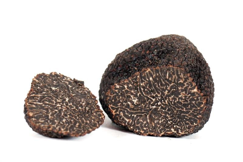 Kışlık Değerli Trüf Mantarı - Tuber melanosporum
