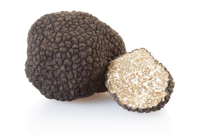 Black Summer Truffle - Tuber aestivum