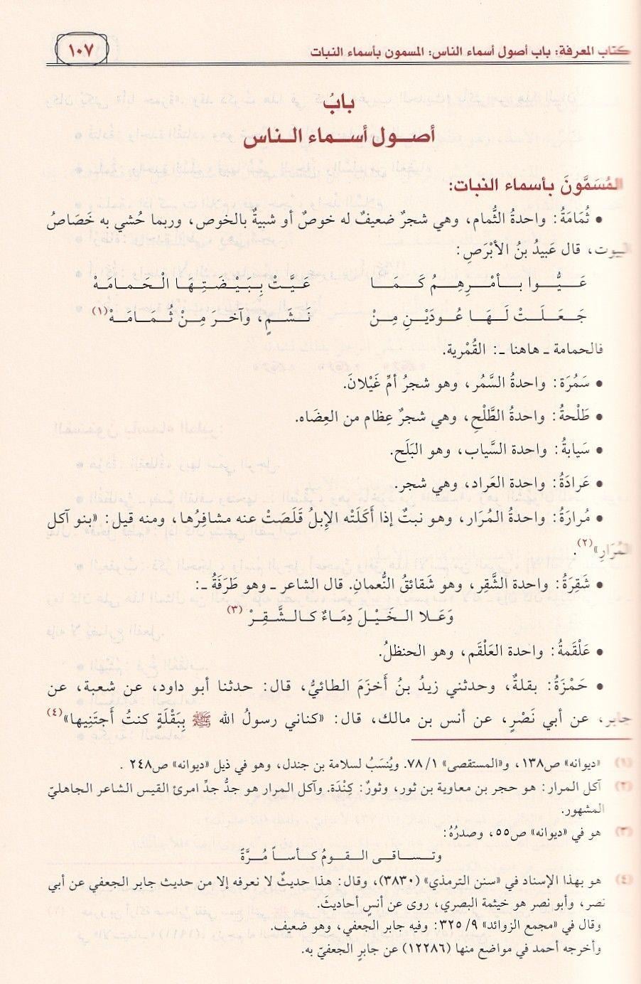Edebül Kâtib (Arapça) - İbn Kuteybe | Klasik Arap Dili ve Edebiyatı - كتاب أدب الكاتب | ابن قتيبة الدينوري | أمهات كتب اللغة والأدب
