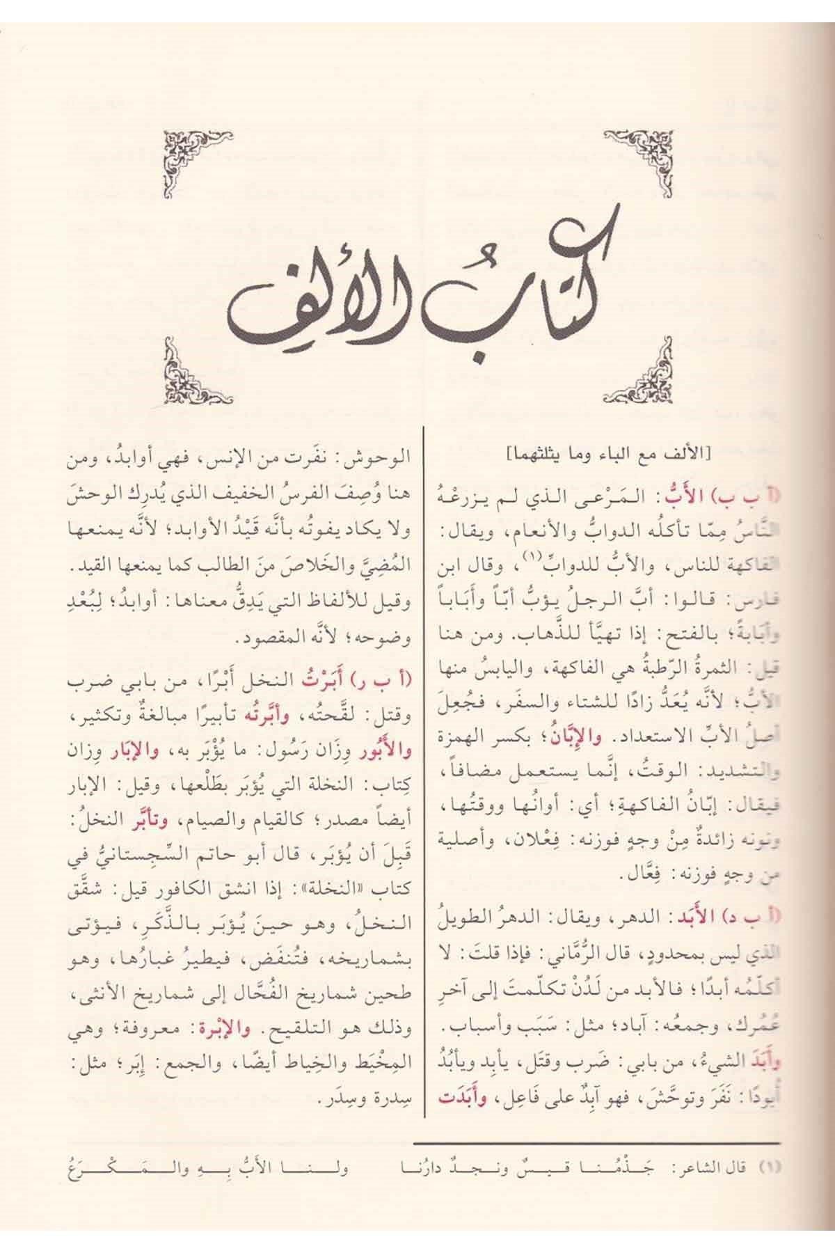El Misbah ül Münir Fi Ğeribi Şerhil Kebir - المصباح المنير في غريب الشرح الكبير