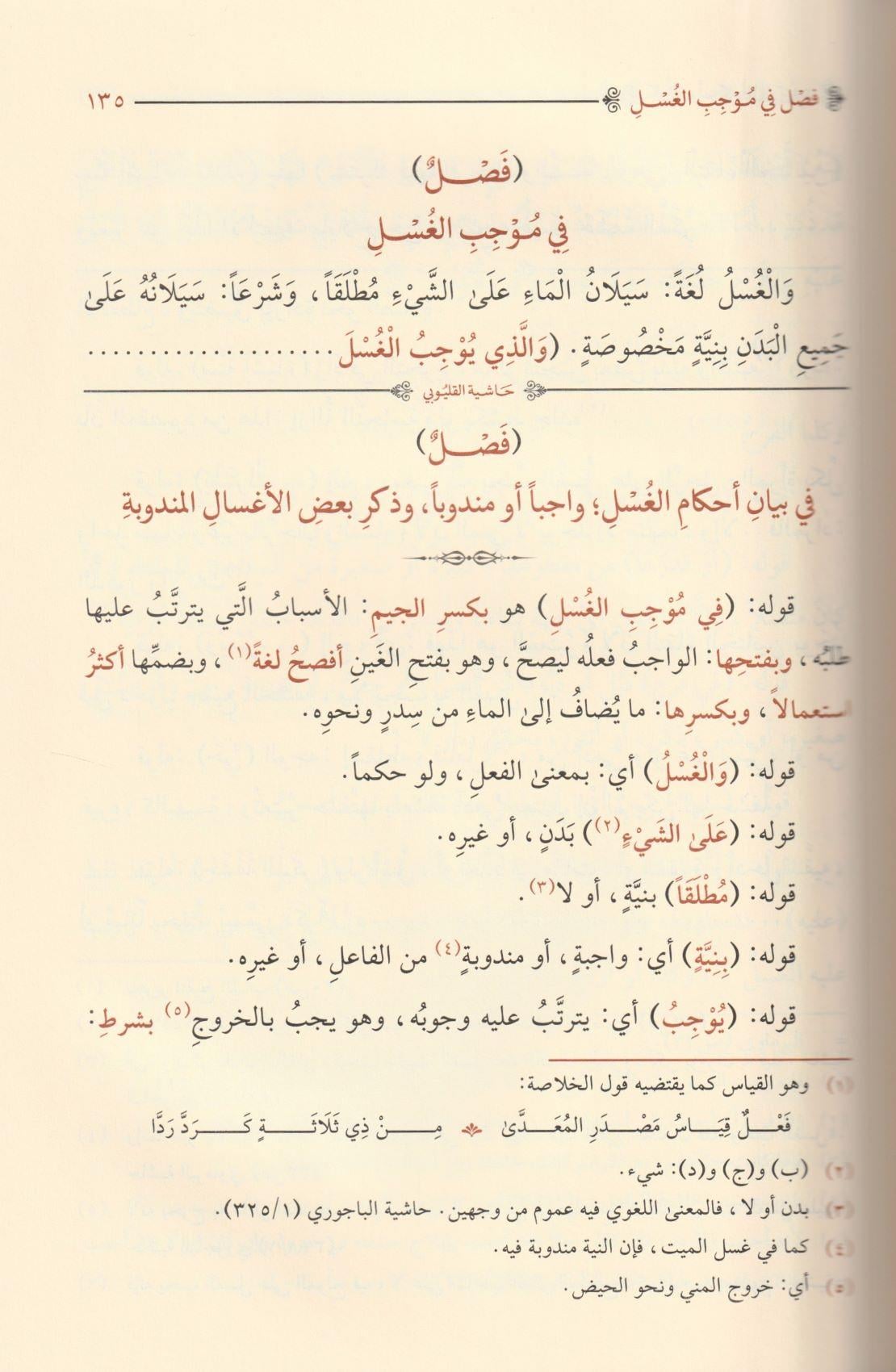 Haşiyetül Kalyubi Ala Şerhi ibni Kasım Şerhü Ğayetül İhtisar - حاشية القليوبي على شرح ابن قاسم الغزي علي متن أبي شجاع المسمى غاية الاختصار
