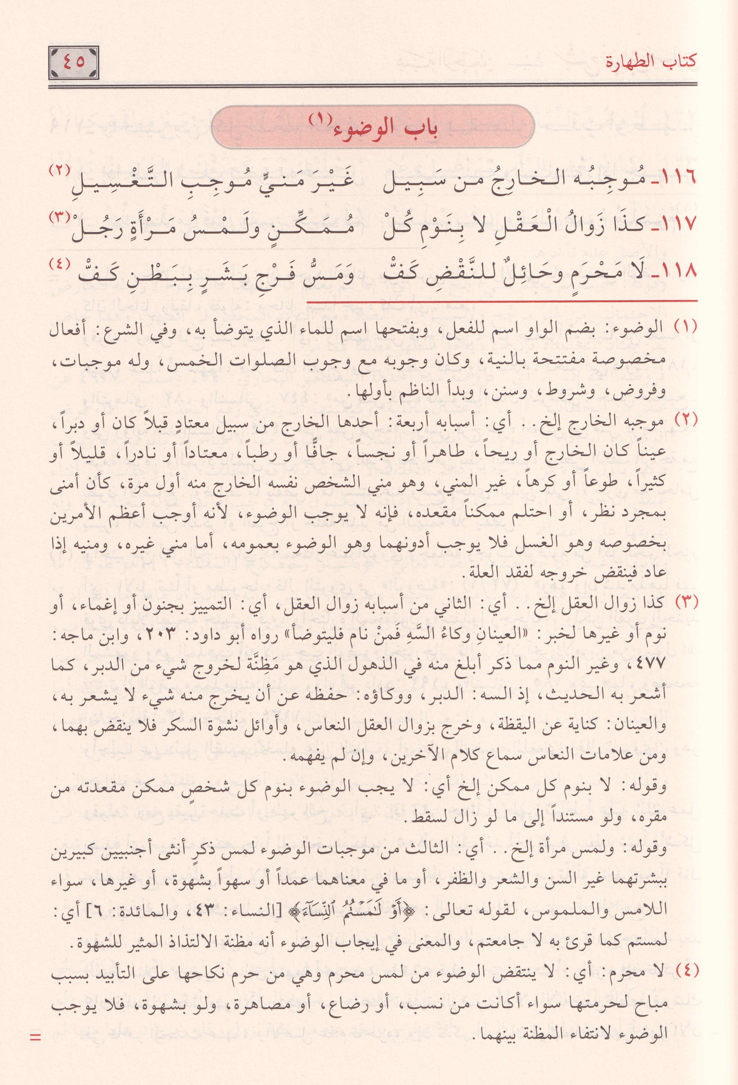 Hibetür Rahman Şerhü Zübed ibn Reslan - هبة الرحمن شرح زبد ابن رسلان