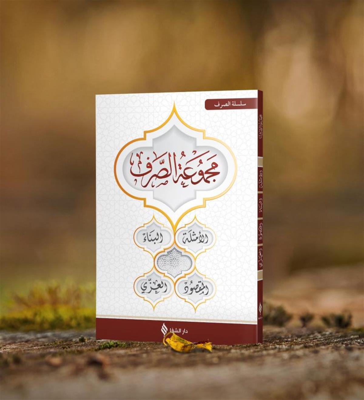 مجموعة الصرف 