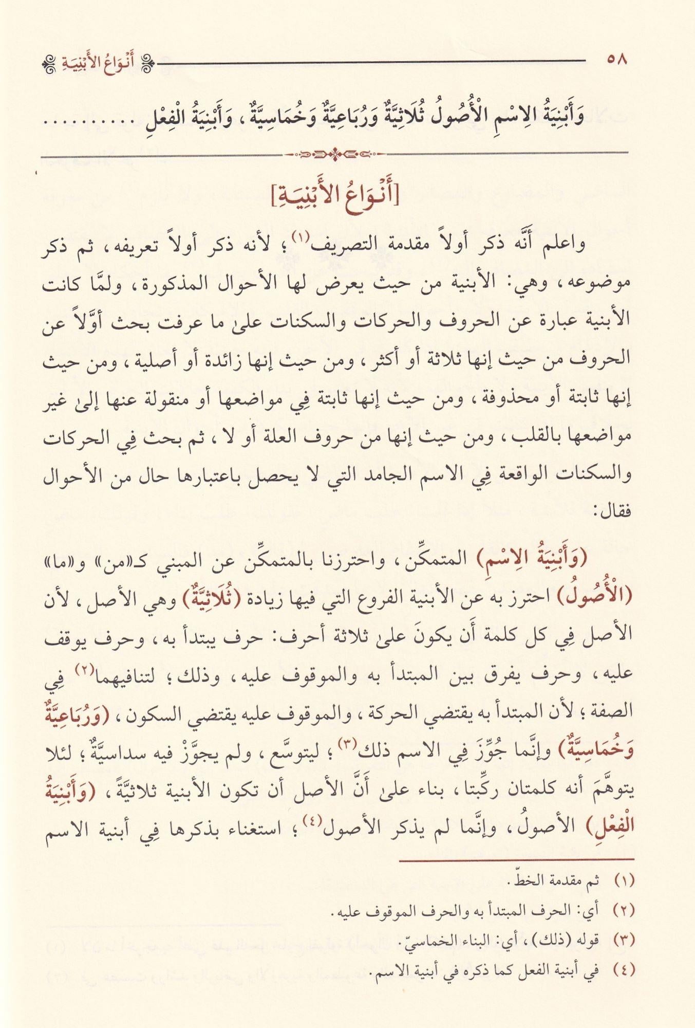 شرح شافية ابن الحاجب في علم الصرف