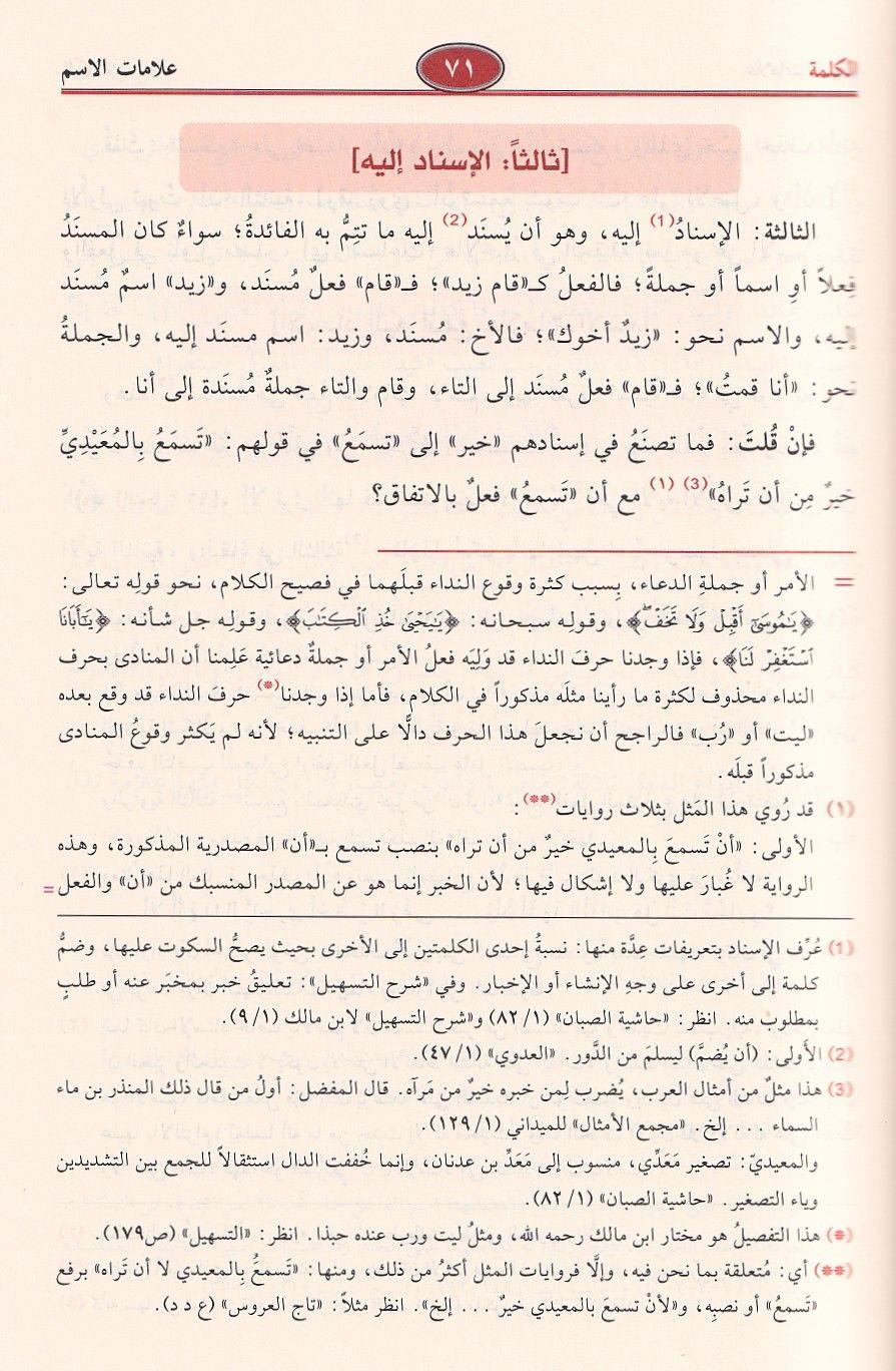 شرح شذور الذهب في معرفة كلام العرب - ابن هشام الأنصاري