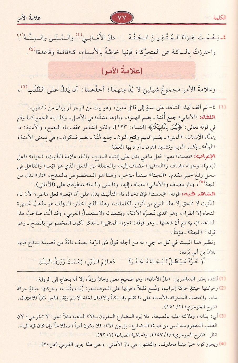 شرح شذور الذهب في معرفة كلام العرب - ابن هشام الأنصاري