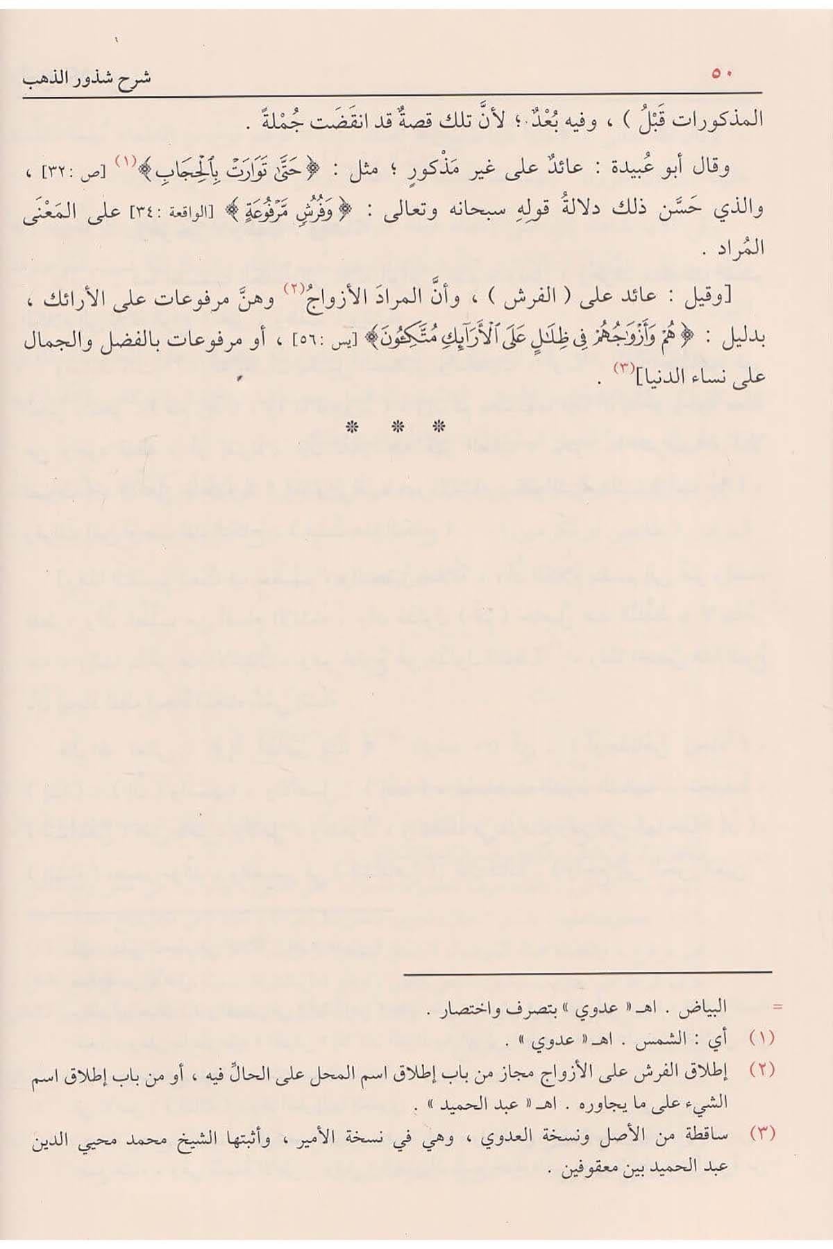 شرح شذور الذهب