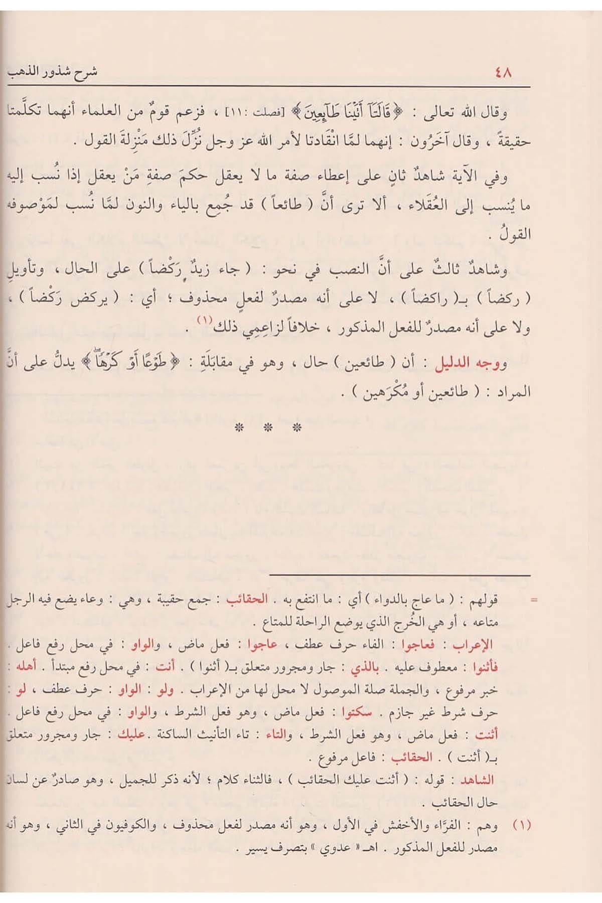 شرح شذور الذهب