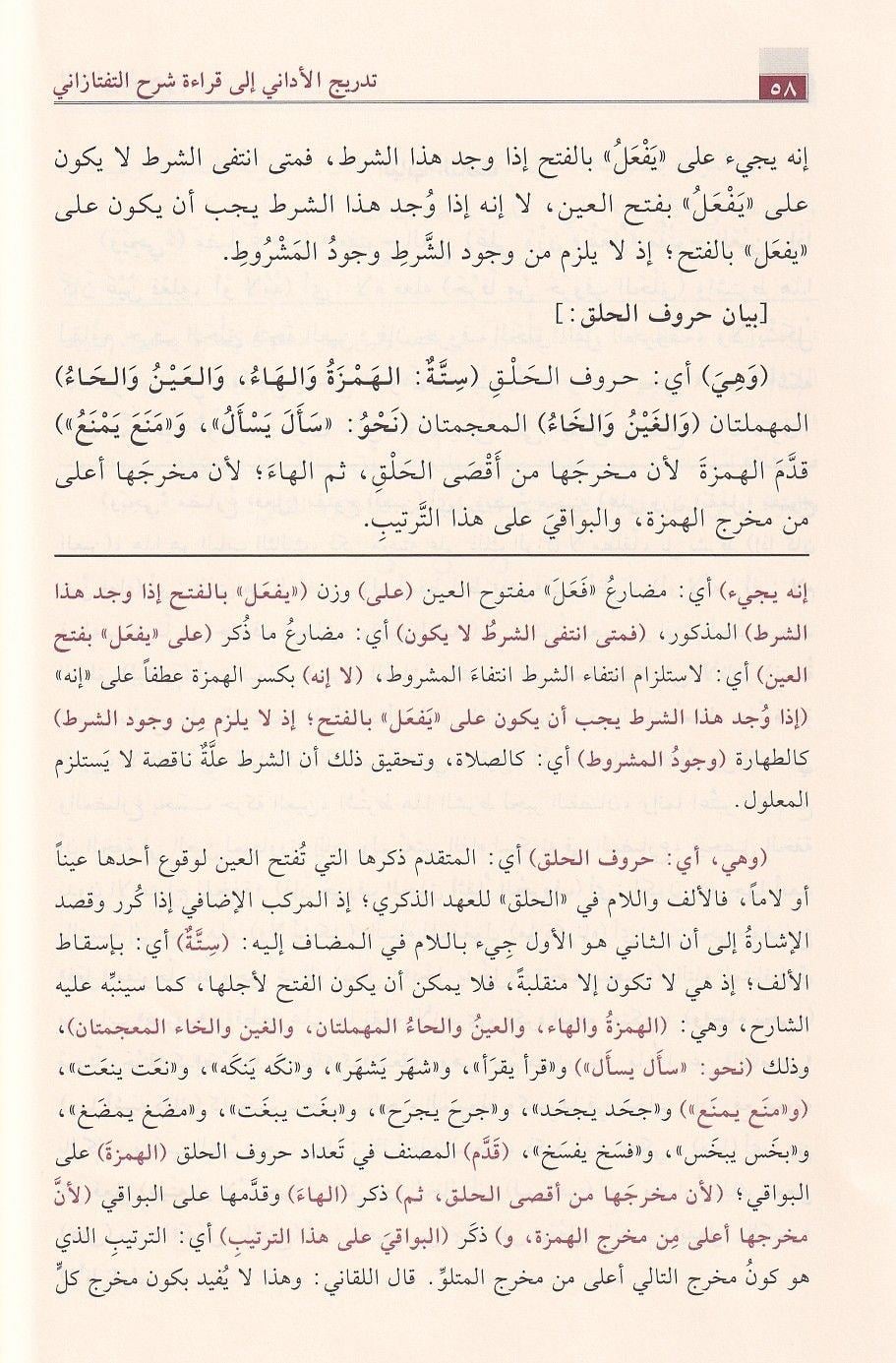 Tedricül Edânî ilâ Kırâati Şerhit Teftâzânî alâ Tasrîfiz Zencânî Arapça - Saduni - تدريج الأداني شرح التفتازاني