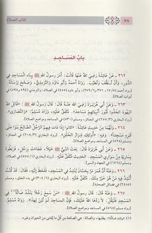 بلوغ المرام من ادلة الاحكام