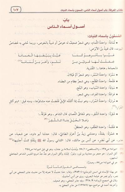 Adab al Katib by Ibn Qutayba | Arabic Literature & Grammar Book - كتاب أدب الكاتب