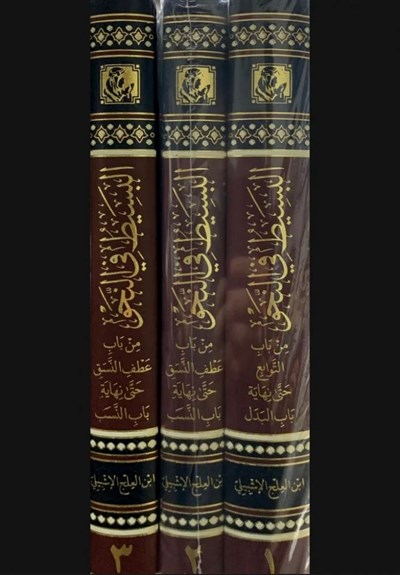 EL Besit Fin Nahiv Arapça - El Basit Fin Nahv - البسيط في النحو