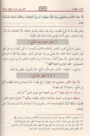 الإقناع في حل ألفاظ أبي شجاع ومعه نهاية التدريب في نظم غاية التقريب