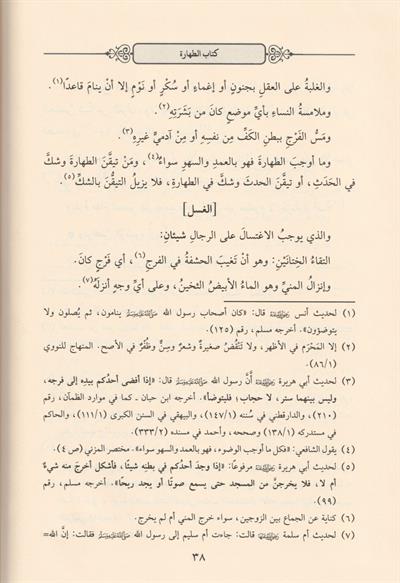 El İşare Fil Fıkıh Ala Mezhebil imam Şafii Arapça - الإشارة في الفقه على مذهب الإمام الشافعي