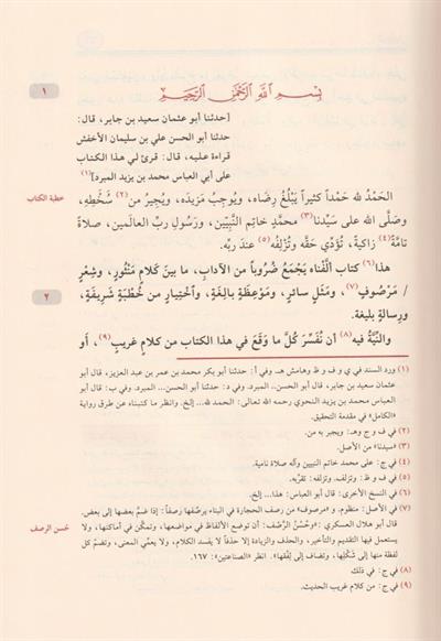 الكامل في اللغة والأدب