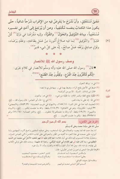 الكامل في اللغة والأدب