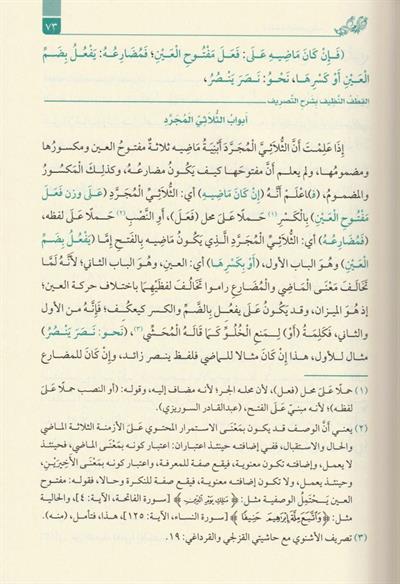 القطف النظيف