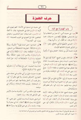 النهاية في غريب الحديث والأثر