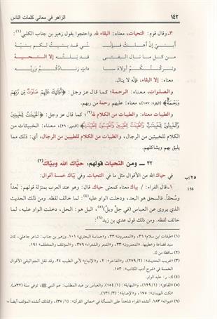 الزاهر في معاني كلمات الناس