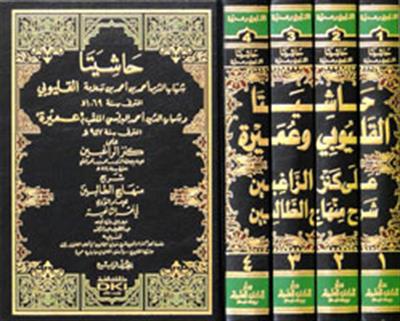 Haşiyeta El Kalyubi Ve Umeyre - حاشيتا القليوبي وعميرة على كنز الراغبين شرح منهاج الطالبين 1/4