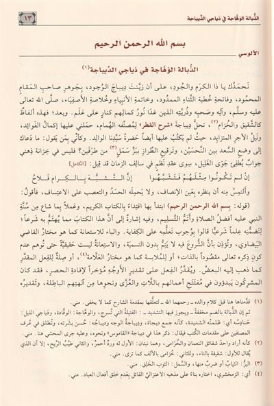 Haşiyetül Alusi Ala Şerhu Katrin Neda ve Bellis Seda Arapça - حاشية الآلوسي على شرح قطر الندى