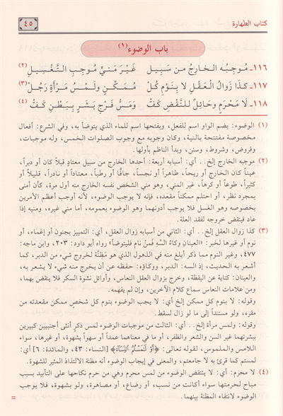 هبة الرحمن شرح زبد ابن رسلان