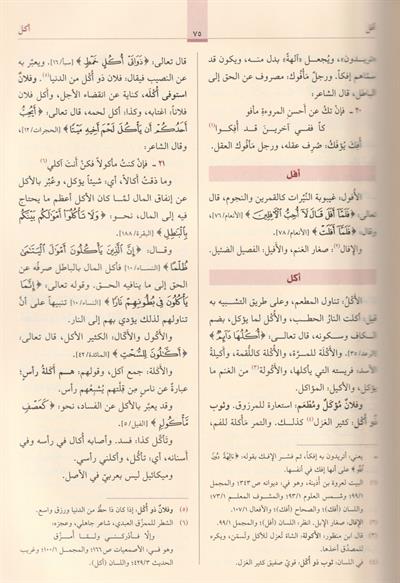 مفردات ألفاظ القرآن
