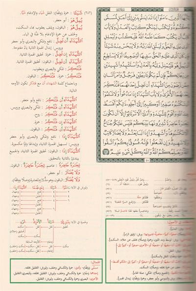 Müshafül Kiraatil Aşr Arapça - مصحف القراءات العشر من طريق الشاطبية والدرة